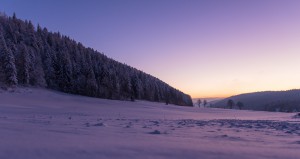 заснеженная-равнина-рядом-с-лесом-зимой-на-закате